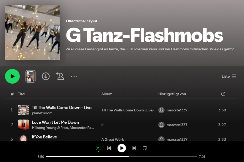 Schreenshot von Playlist bei Spotify